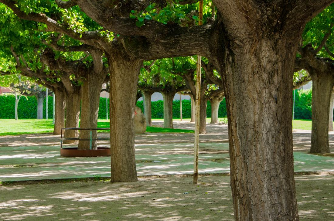 En el parque..., fotografía de Geo Aragón (Siguiendo al Conejo Blanco)
