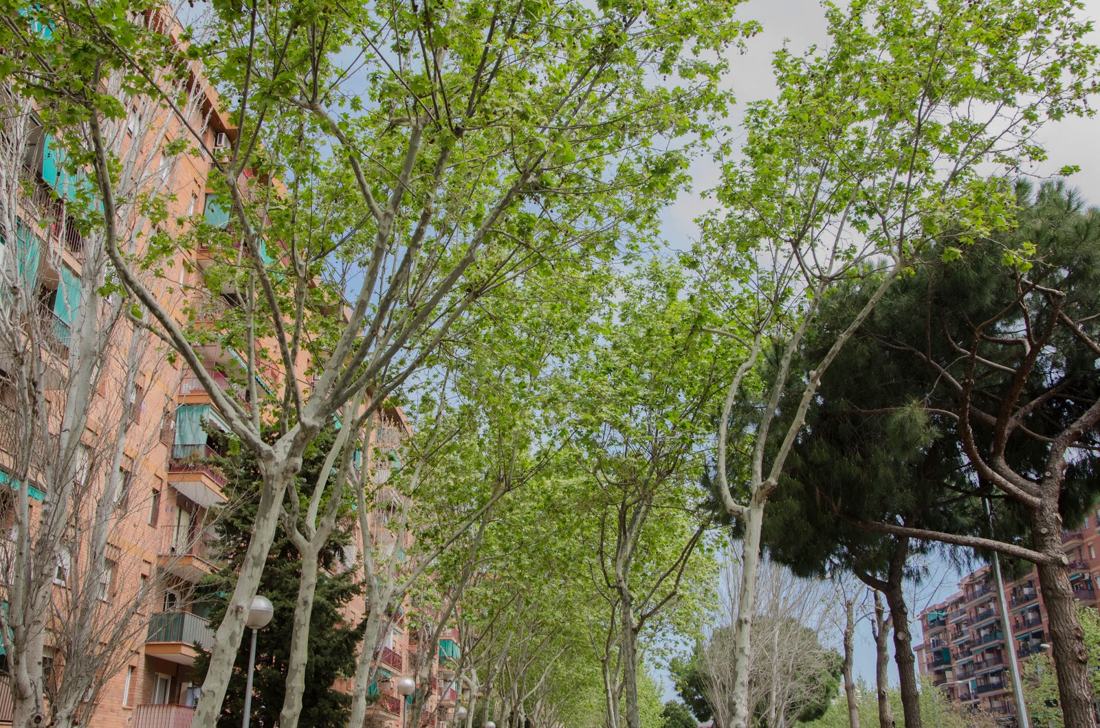 Lo primero que vi de Barcelona de regreso, fotografía de Geo Aragón (Siguiendo al Conejo Blanco)