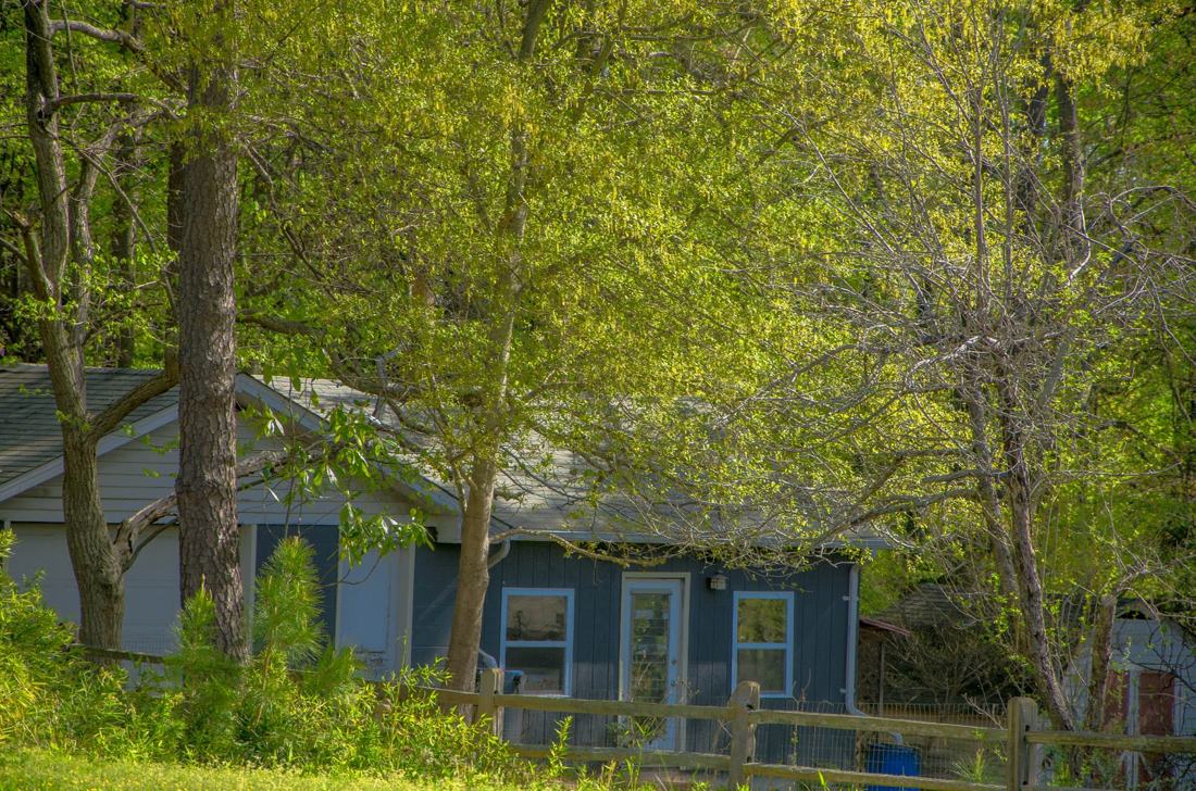 Otro poco de primavera en Atlanta, fotografía de Geo Aragón (Siguiendo al Conejo Blanco)