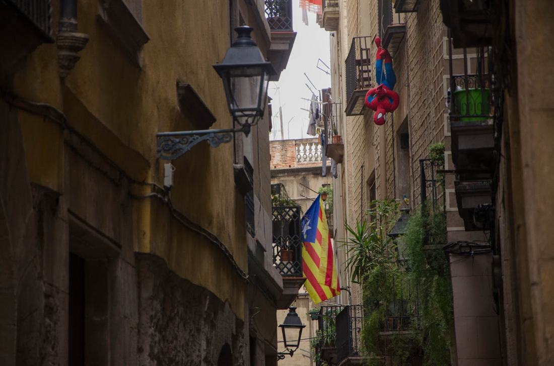 Siguiendo al conejo blanco pero.., fotografía de Geo Aragón (Siguiendo al Conejo Blanco)