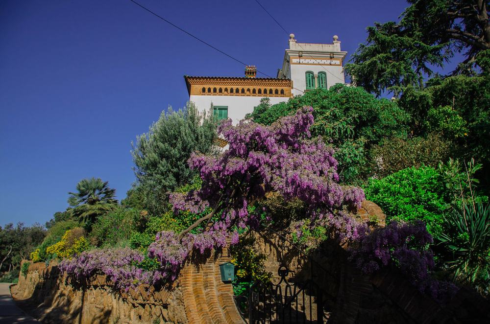 Fotografía de Geo Aragón
