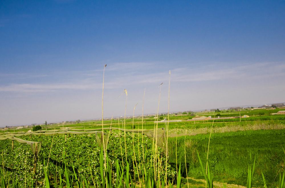Fotografía de Geo Aragón