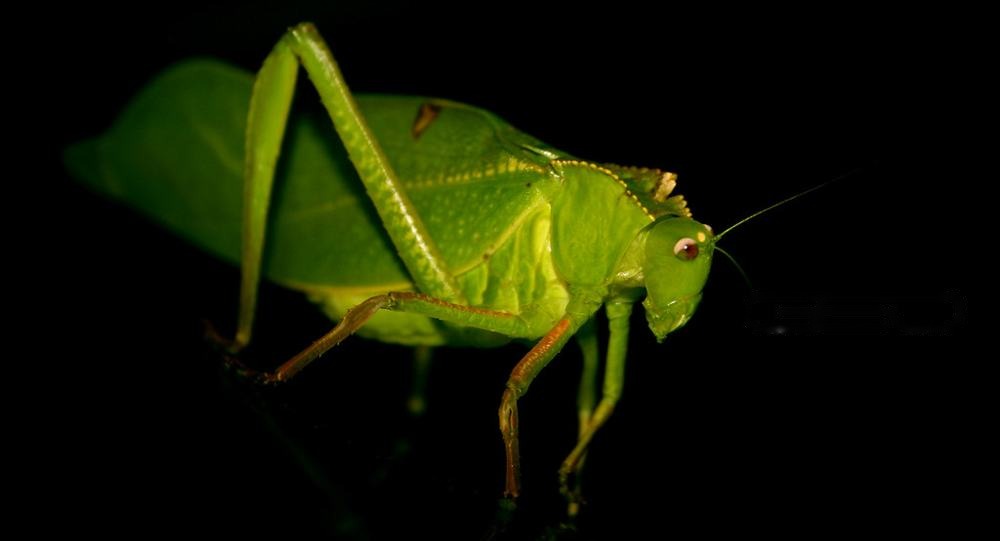 NATURLICH 1, fotografía de Geo Aragón