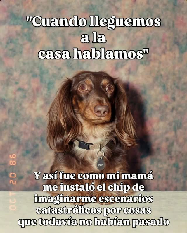 Papi en Instagram